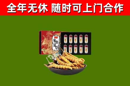 宜阳县烟酒回收冬虫夏草礼盒.jpg